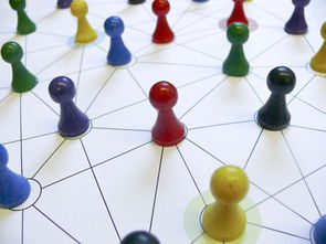 开云体育在线-中国篮球教练员专业能力提升路径，篮球教练员的专业技能包括哪些方面