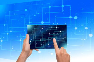 开云体育在线-中国篮球教练员专业能力提升路径,篮球教练员的专业技能包括哪些方面