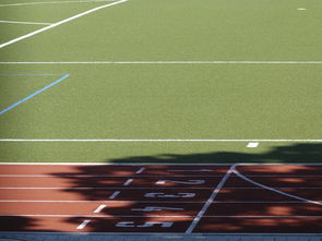 开云在线入口-全国青少年沙滩排球比赛炽热开启,全国青年沙滩排球锦标赛